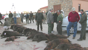 La montería española es una de las modalidades de caza que más personal moviliza