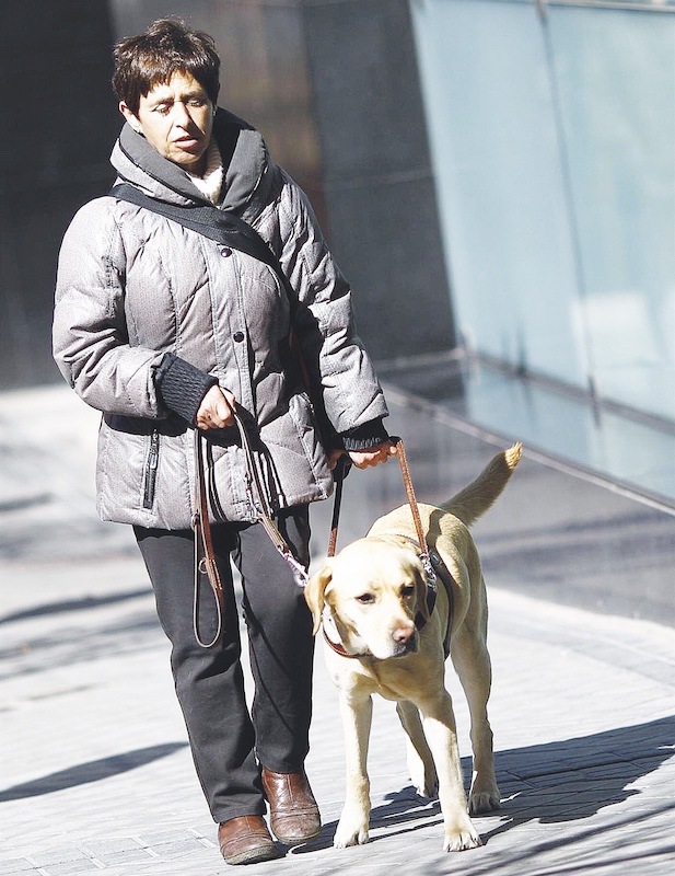 Mujer invidente con un perro guía · ARCHIVO (EuropaPress)