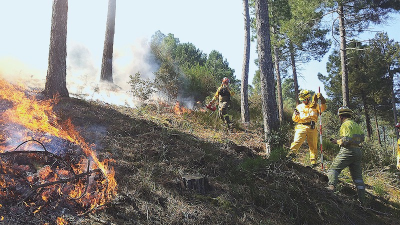 Agentes forestales utilizan fuego técnico en la extinción de un incendio en el monte · GENTE