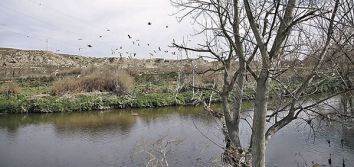 Río Manzanares a su paso por Getafe