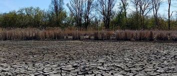 La sequía afecta a casi todas las cuencas