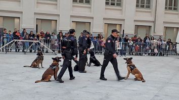 Una exhibición de la sección canina de la Policía Municipal